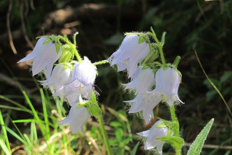 Unsere eigene Almhütte