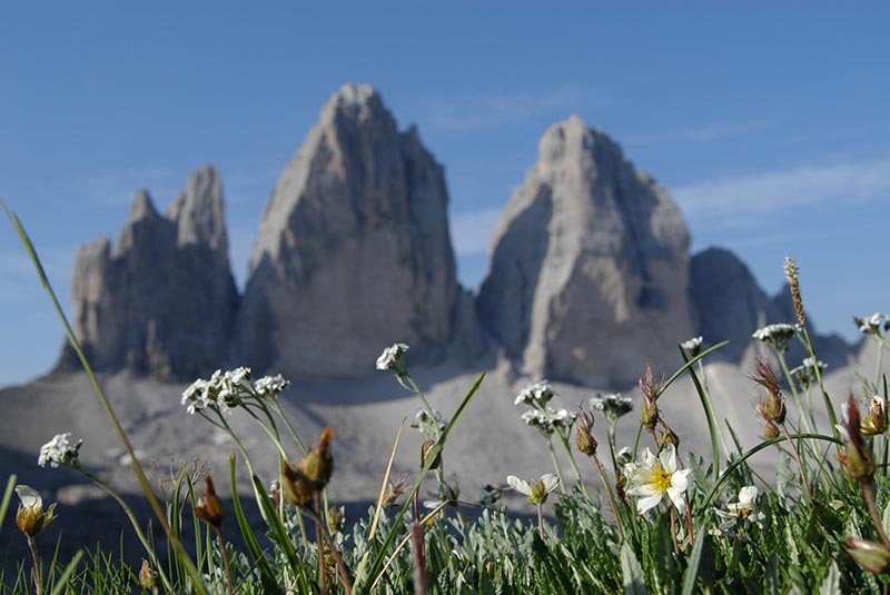 Tre Cime di Lavaredo