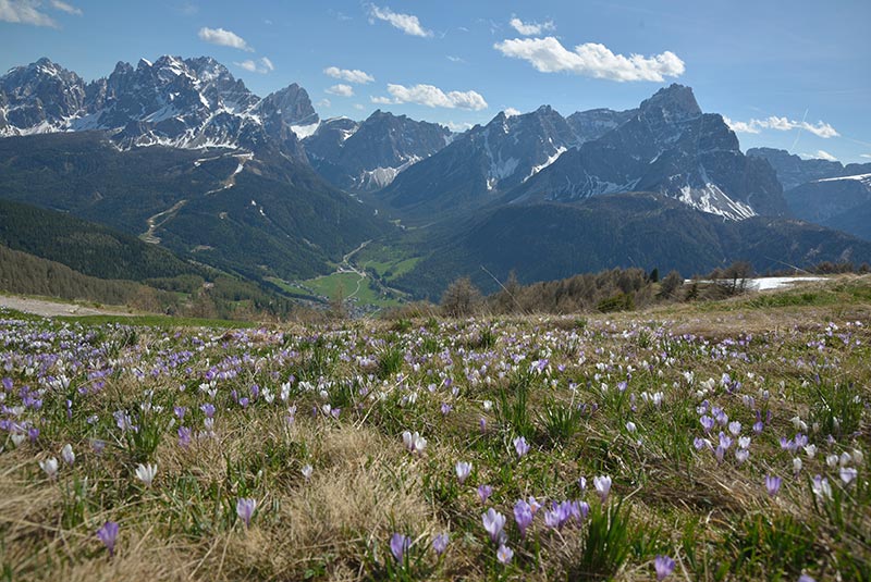 Val Fiscalina